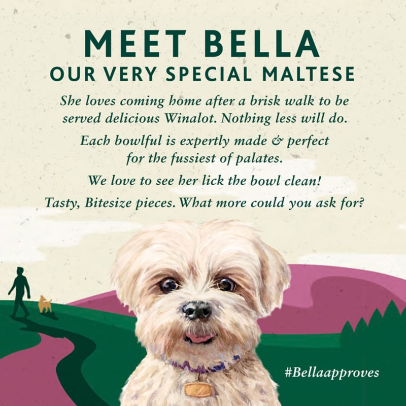 Pets at outlet home winalot
