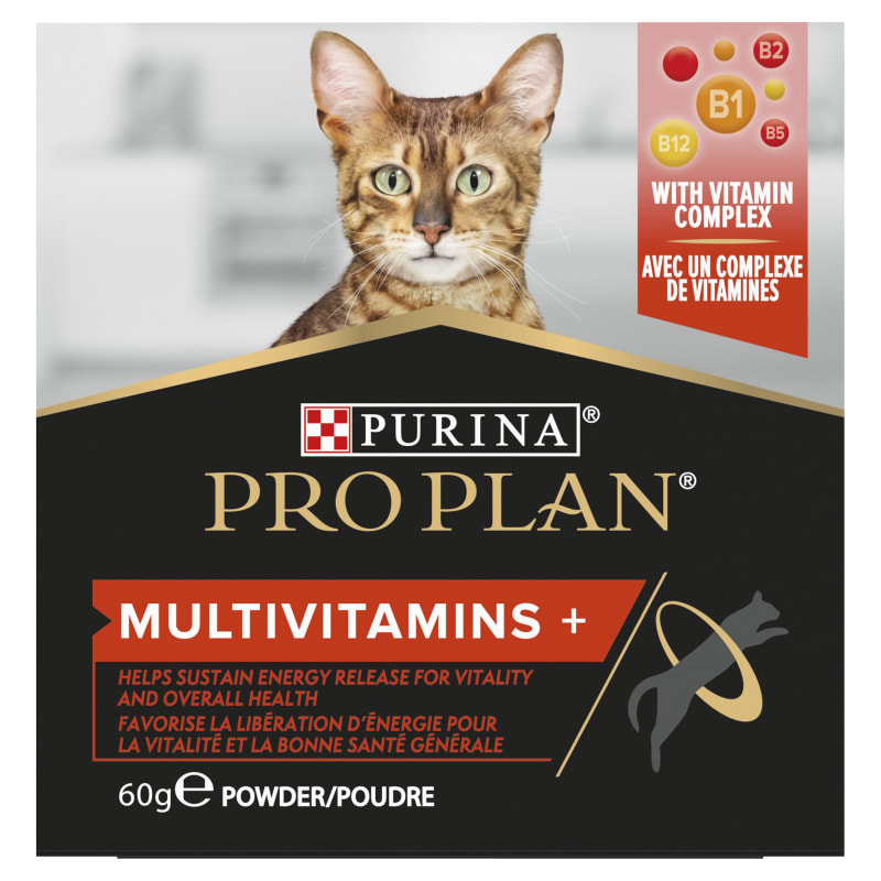 Purina pro plan savor dry shop cat food