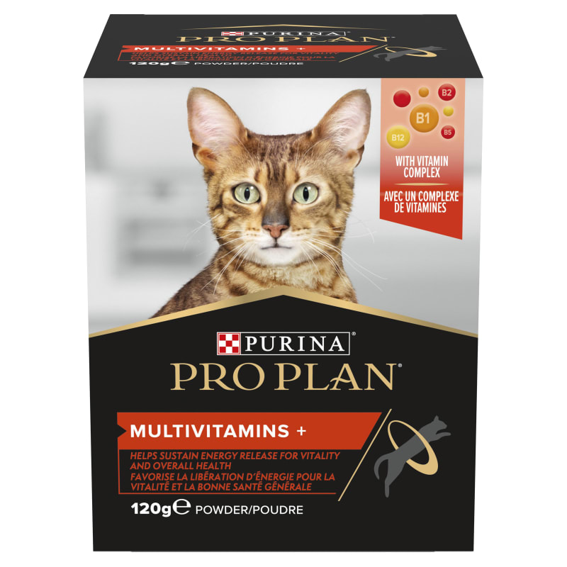 Pro plan best sale cat biscuits