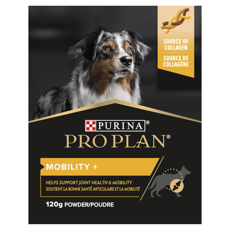 Purina pro shop plan senior