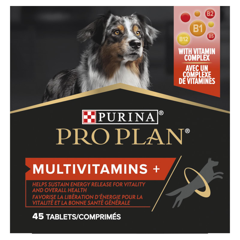 Purina vitality dog hotsell food