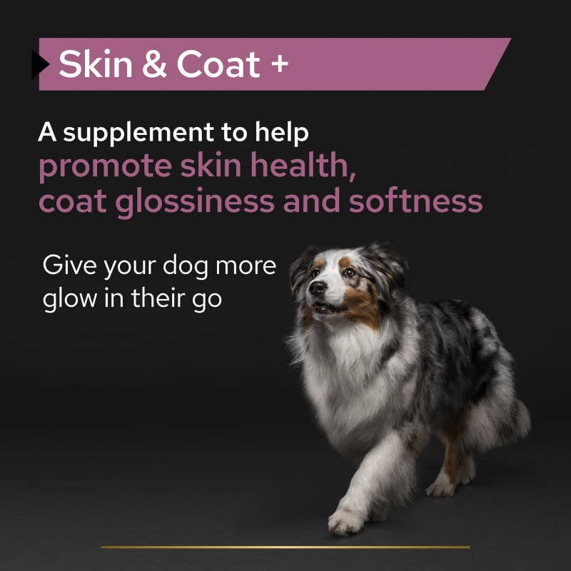 Purina sale skin care