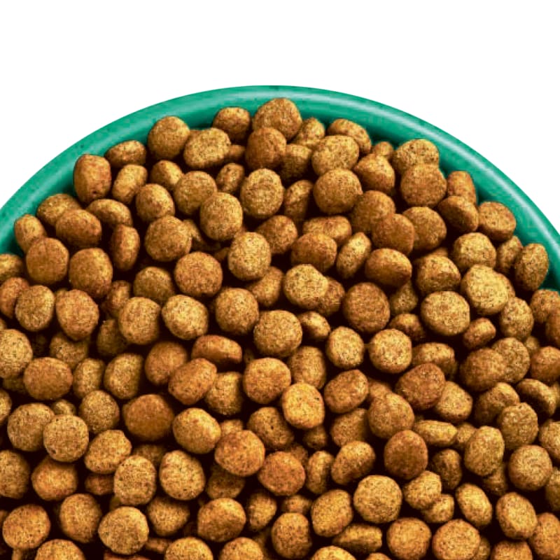 James Wellbeloved Gluten free Puppy Pet Supermarket