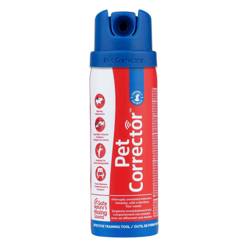 Dog spray new arrivals