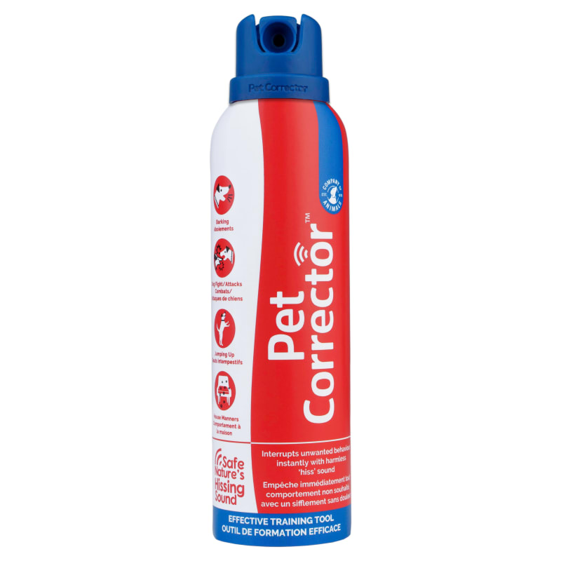 Compressed air sales dog training