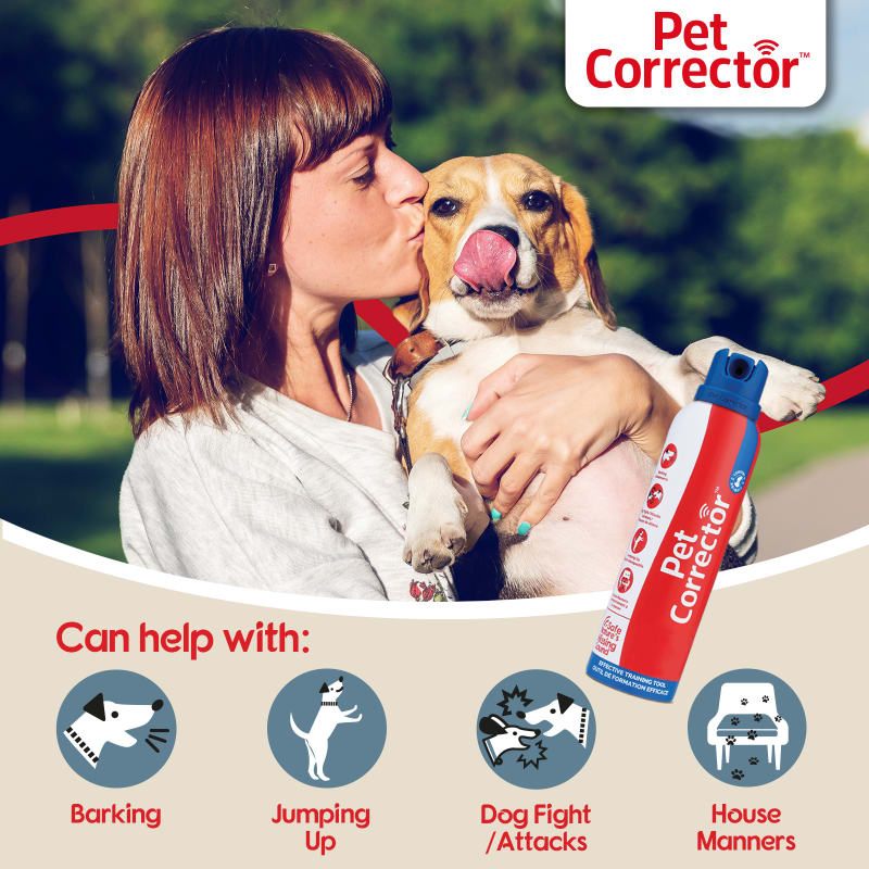 Pet corrector store