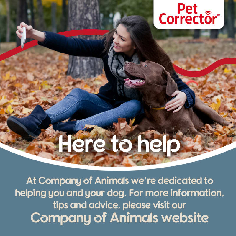 Company of Animals Pet Corrector Pet Supermarket