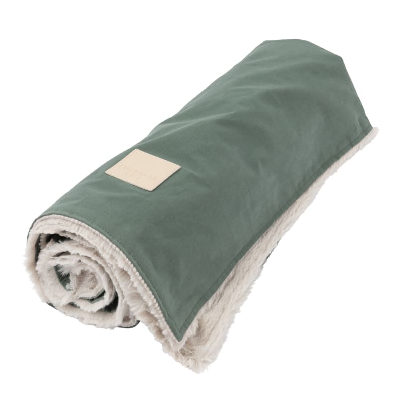 Green shop dog blanket