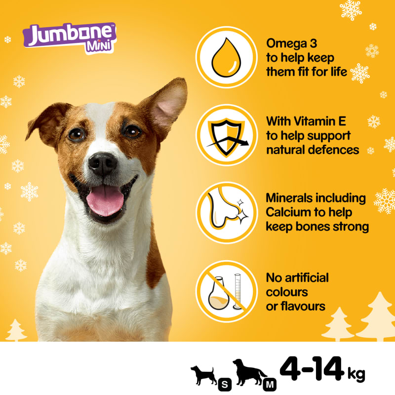 Pedigree jumbone reviews online