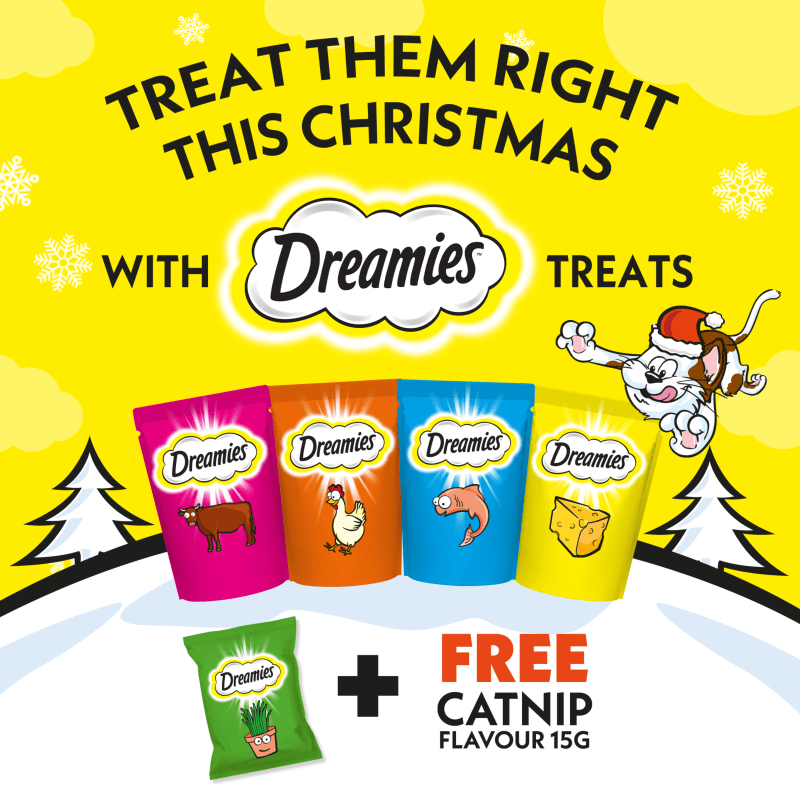 Dreamies cheap christmas advert