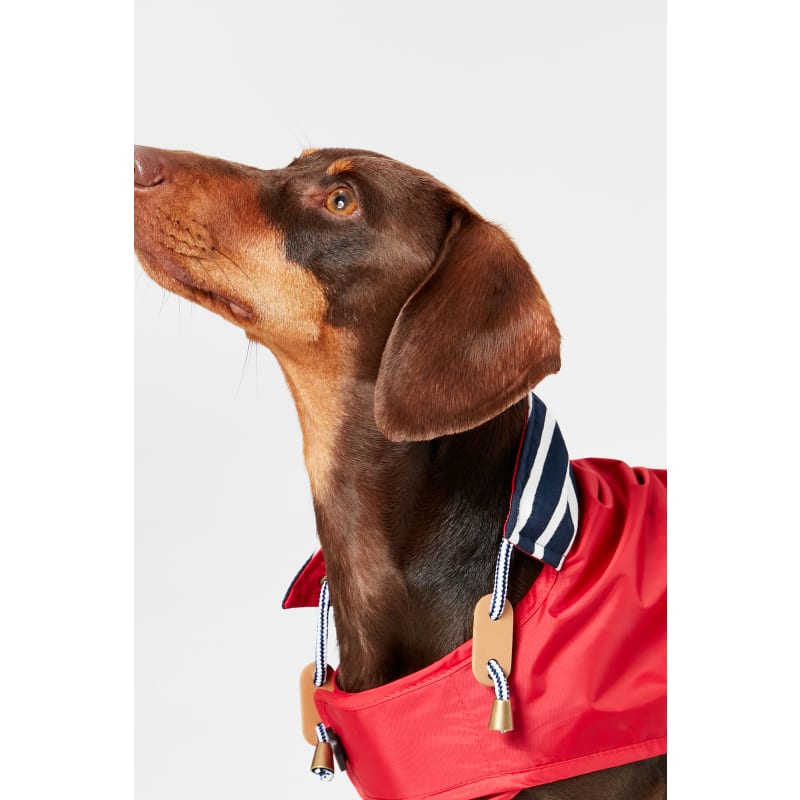 Joules red dog coat cheap