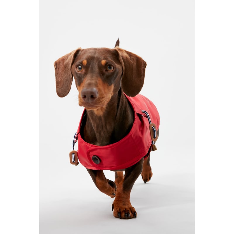 Joules Dog Raincoat Red Pet Supermarket