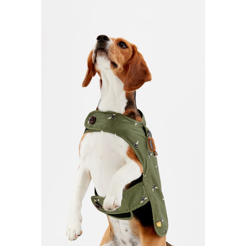 Joules dog coat sales bee