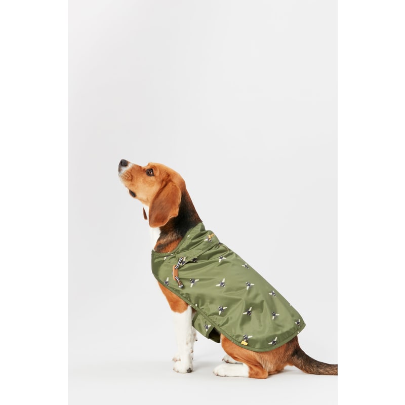 Joules bee on sale raincoat