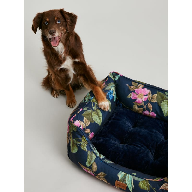 Joules cat bed new arrivals
