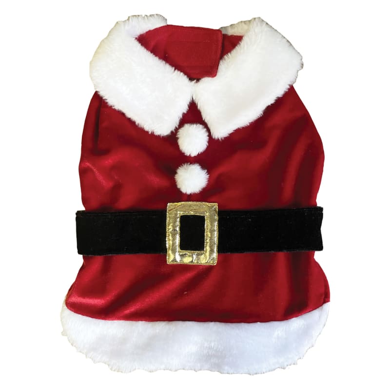 Dog xmas outfits uk 2025