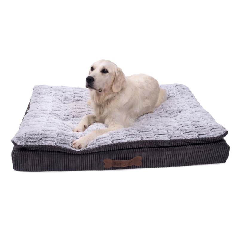 Gel foam dog bed on sale