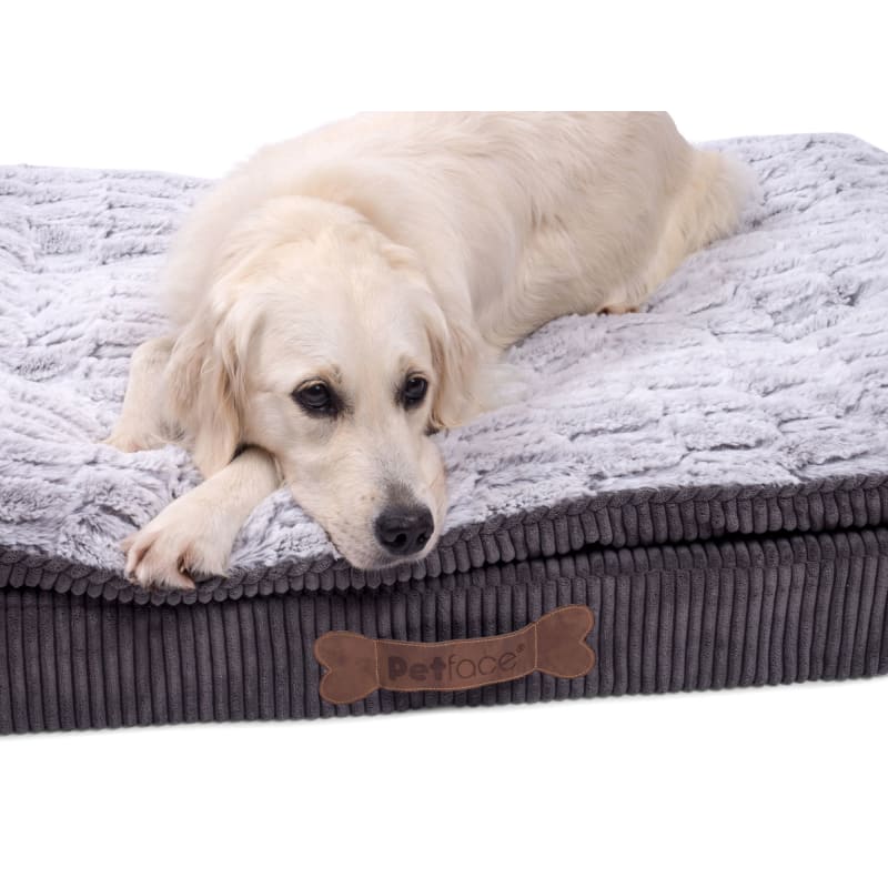 Small memory foam dog discount bed