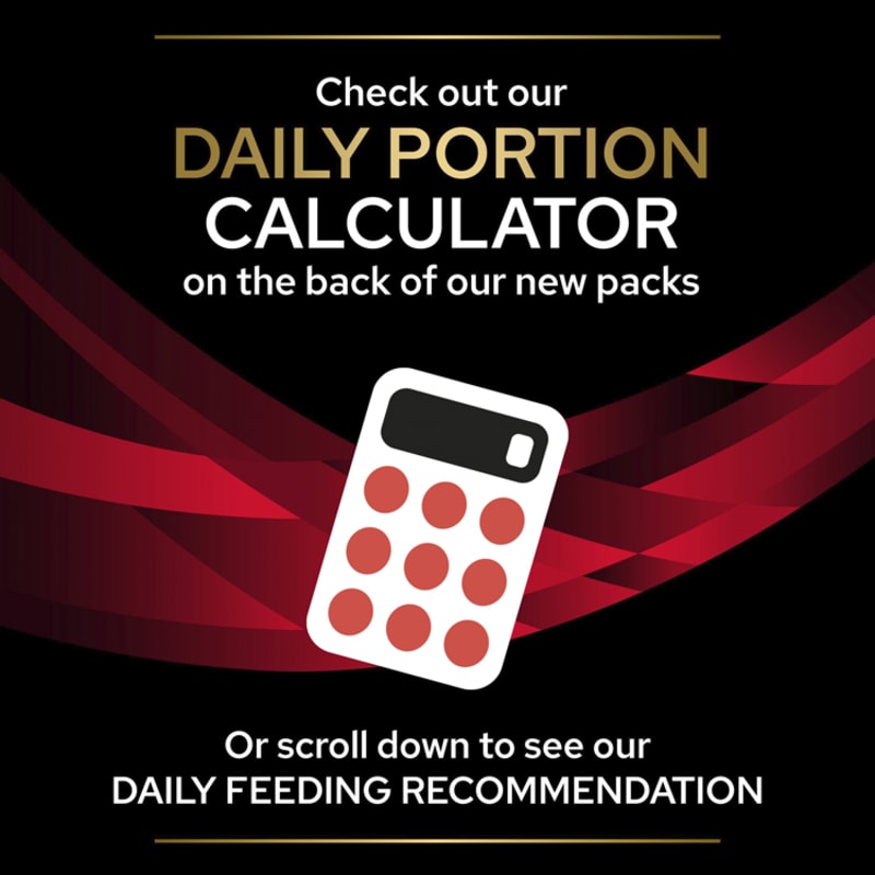 Purina dm dog on sale food