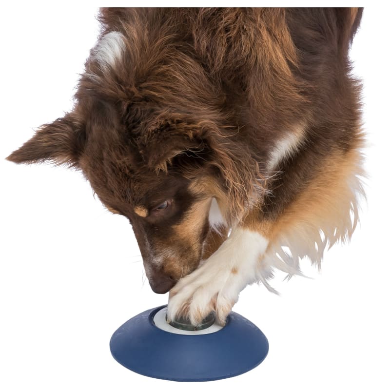 Trixie dog treat dispenser store
