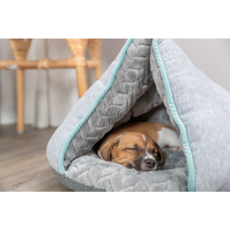 Pet supermarket dog crates sale