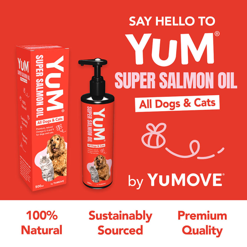 Essential pet salmon oil deals