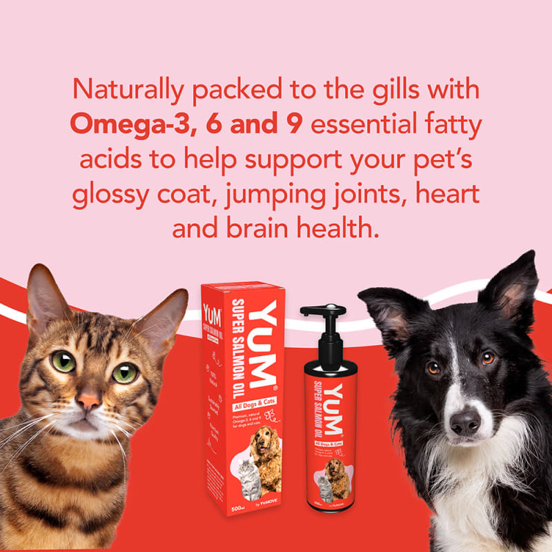 Essential pet sales salmon oil