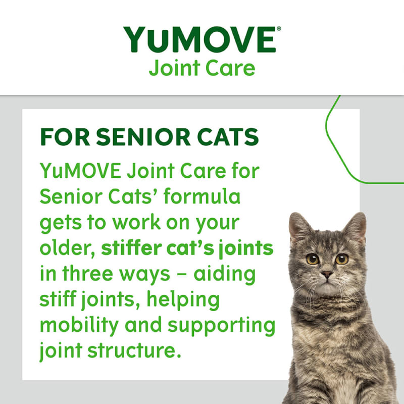 Joint care for cats sales
