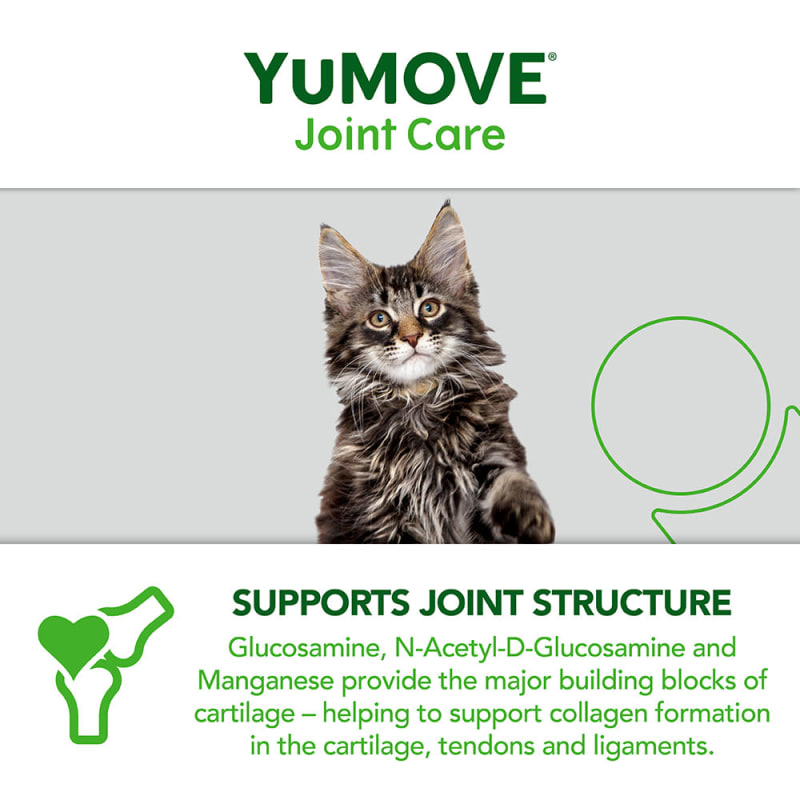 Joint care for cats outlet