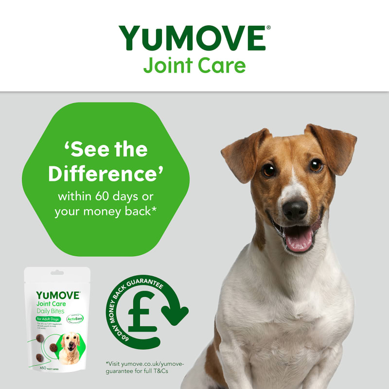 Yumove chewies medium dog on sale