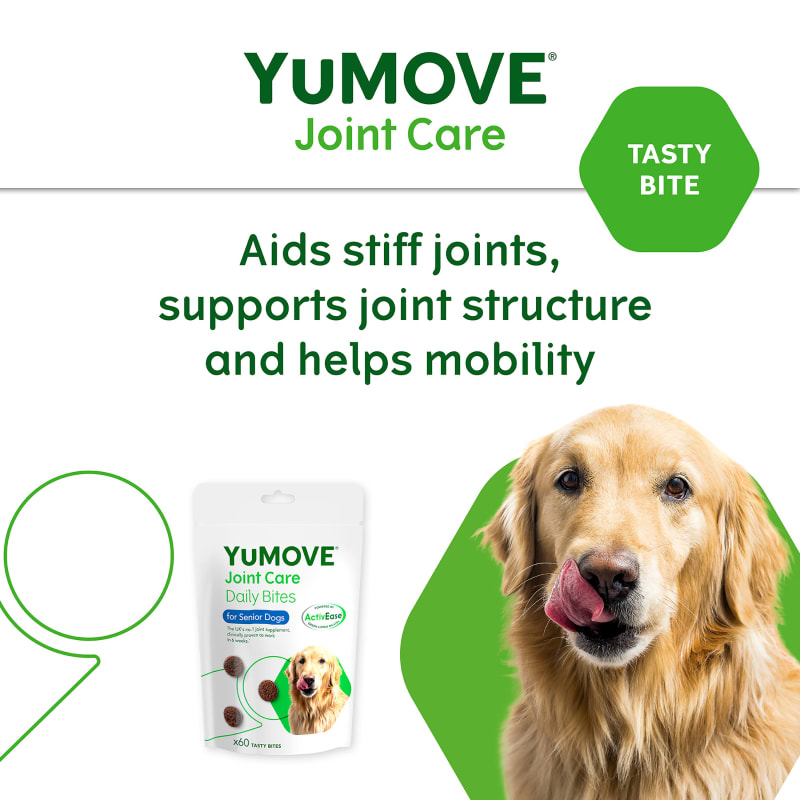 Mobi dog joint supplement 2025