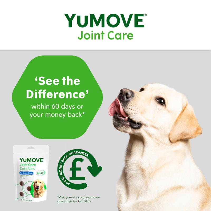 Yumove treats online