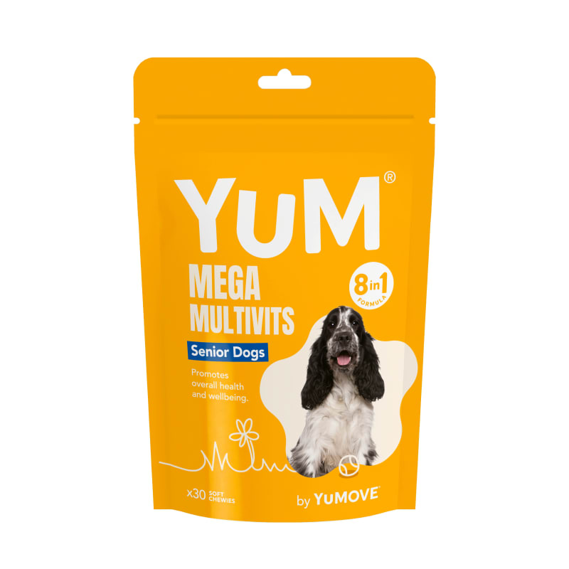 Dog treats for older dogs outlet