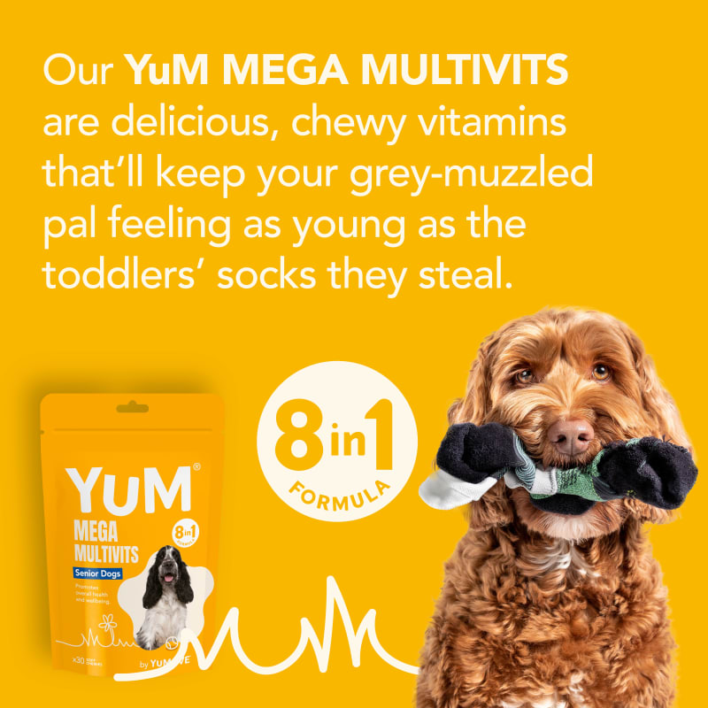 Ultra mega calming large cheap breed
