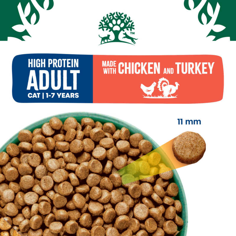 Royal canin high protein cat food outlet