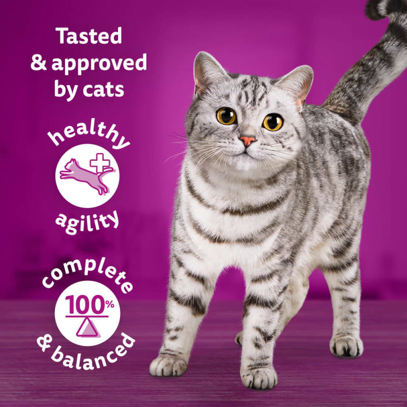 Whiskas 1 Cat Pouches Tasty Mix Pet Supermarket