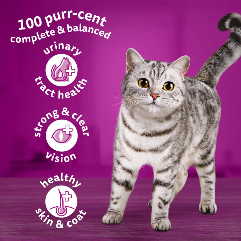 Whiskas 1 Chicken Adult Dry Cat Pet Supermarket