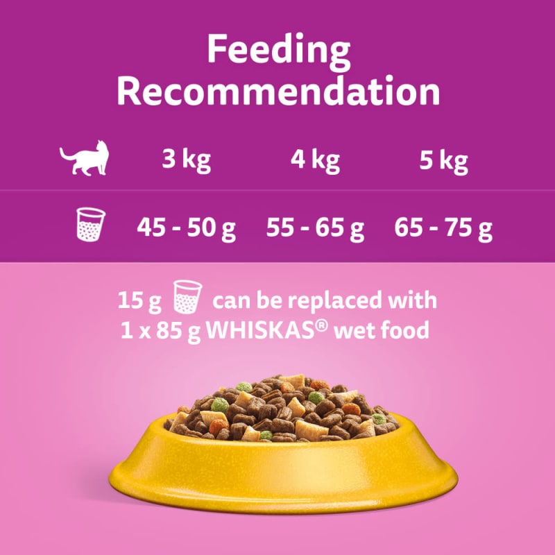 Whiskas 1 Cat Complete Dry With Pet Supermarket
