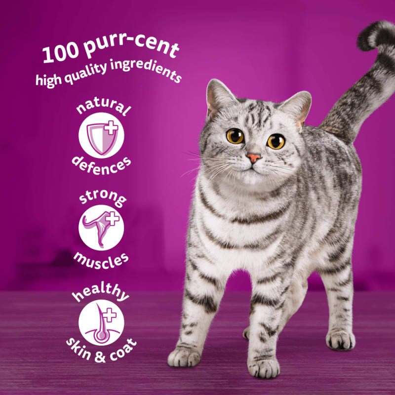 Whiskas Mixed Menu in Jelly 1 Adult Pet Supermarket