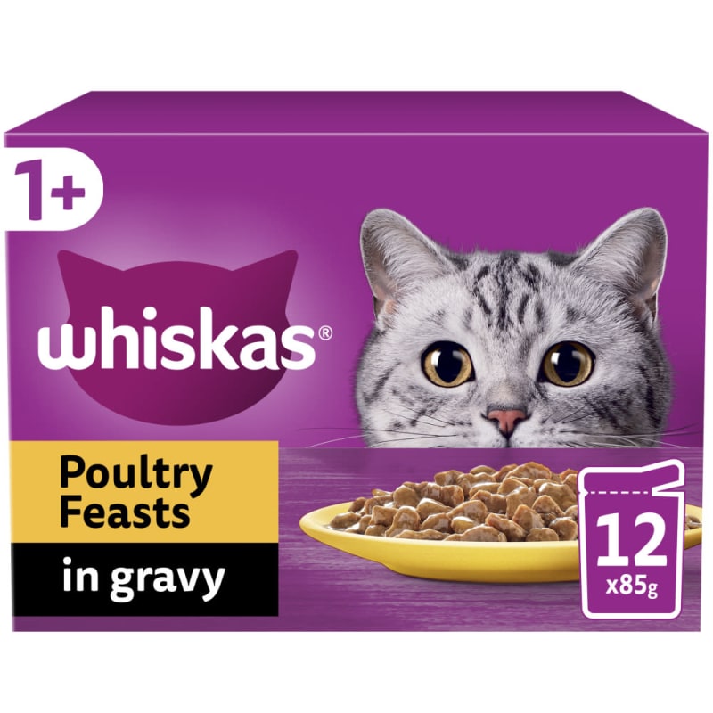 Pet supermarket cat food top