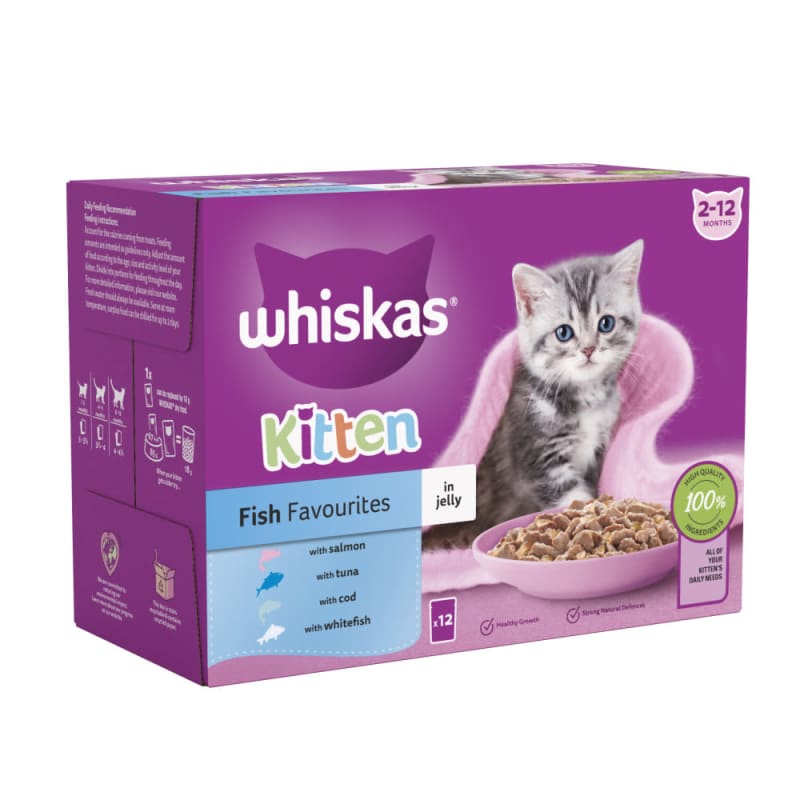 When do you give kittens wet food shop