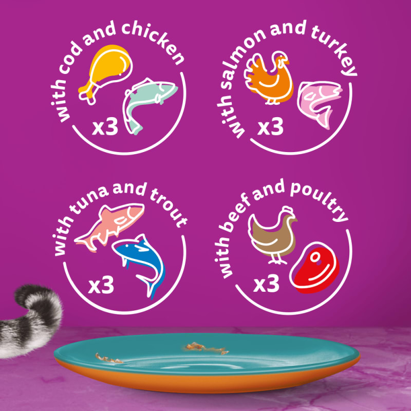 British whiskas cat discount