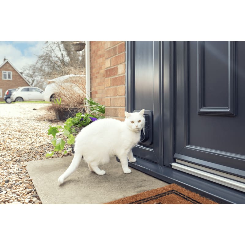 Anthracite cat flap online