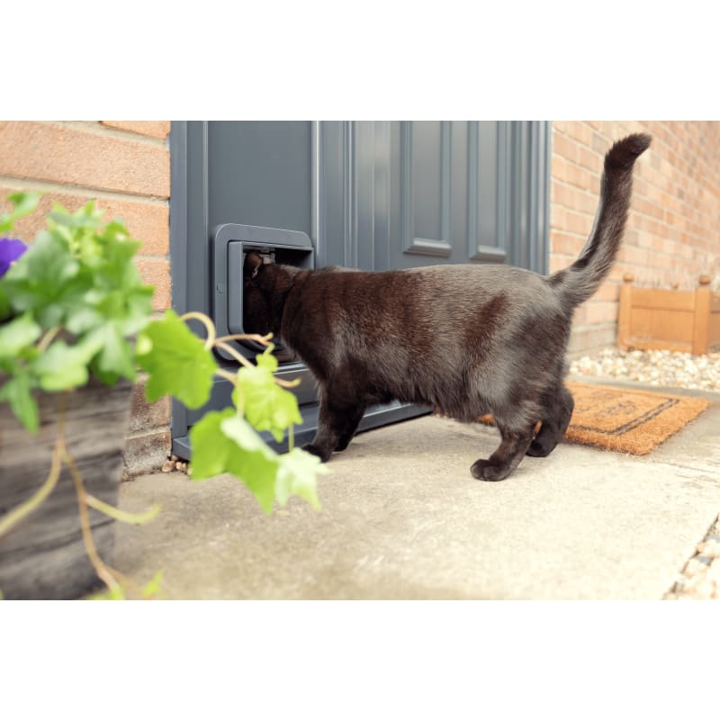 Anthracite cat flap clearance