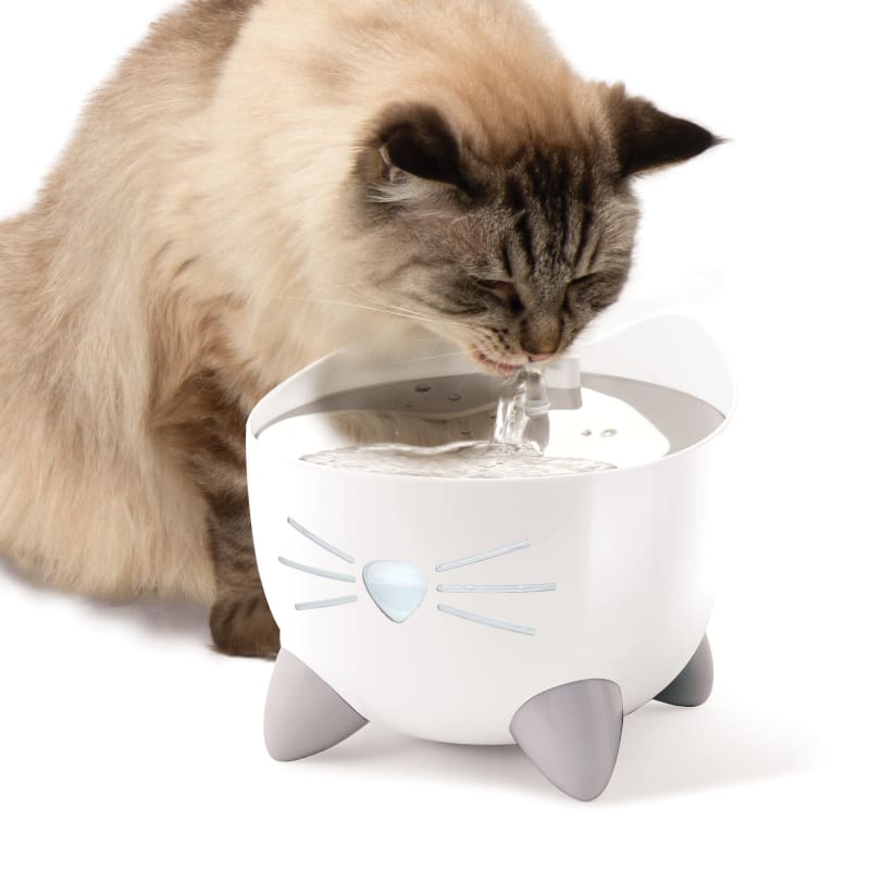 Catit Pixi Cat Smart Drinking Pet Supermarket