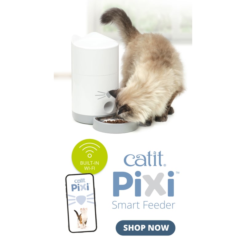 Catit cat feeder clearance