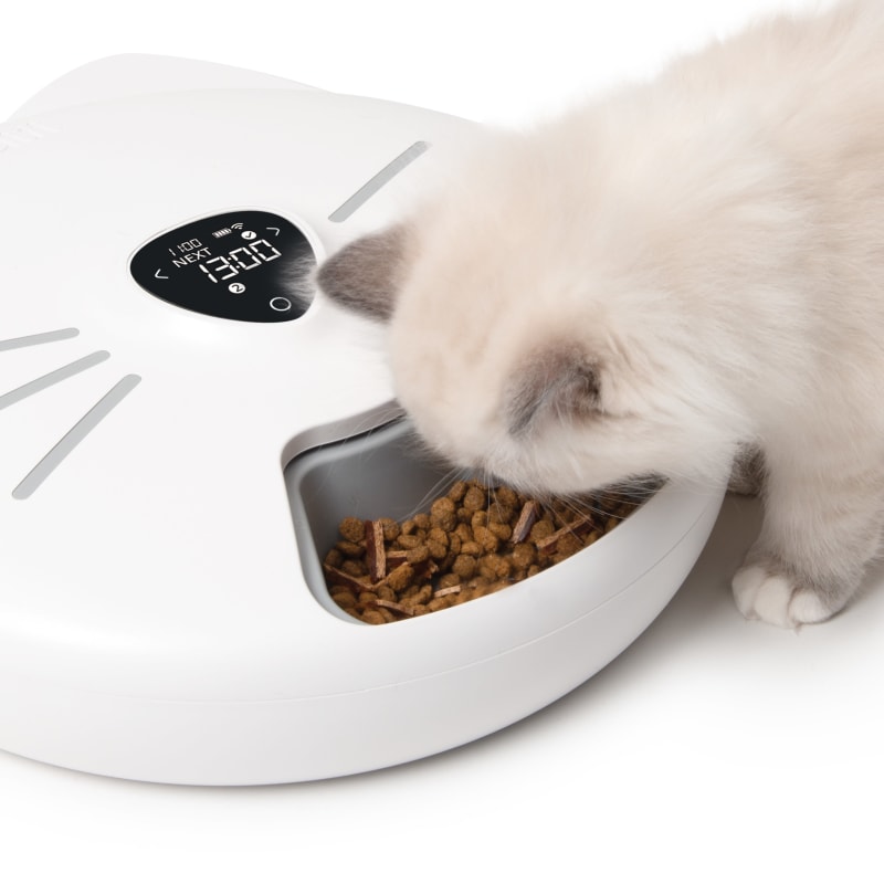 7 day cat feeder best sale