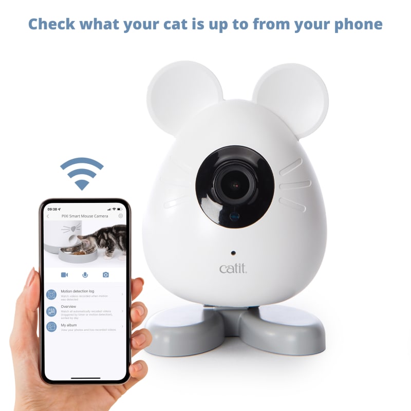 Cat monitor camera sales