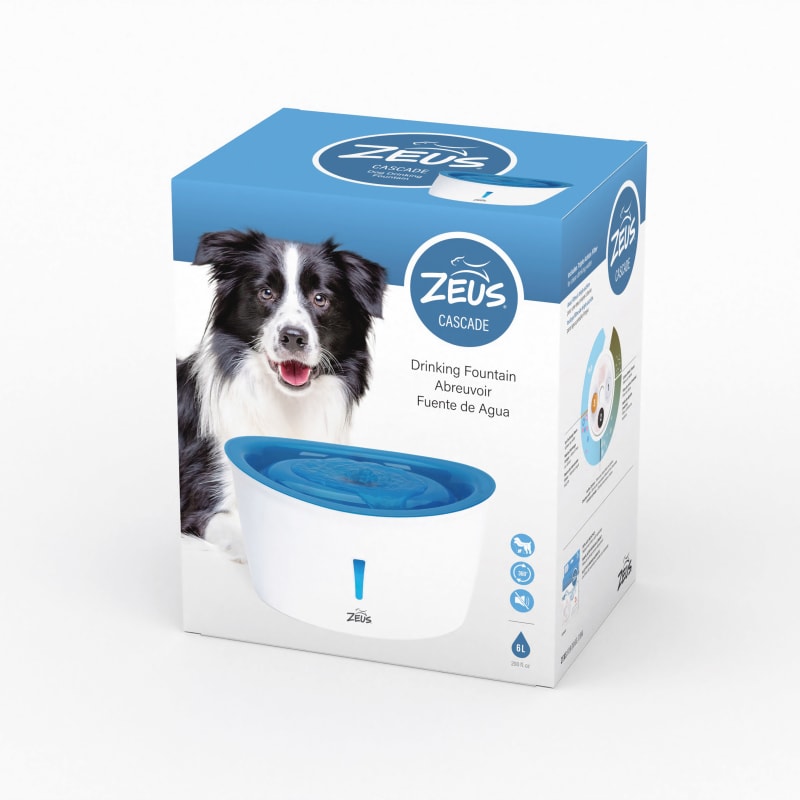 Fresh water deals fountain for dogs