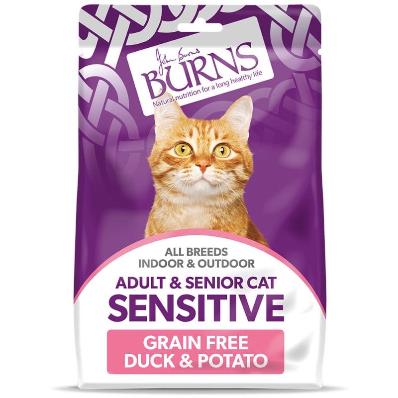 Is kitten food ok for senior cats sale